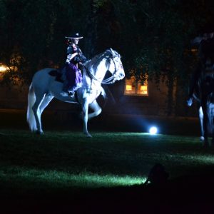 dj-soirée-équestre